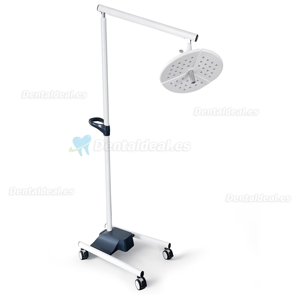 KWS KD-2036L-4 L&aacute;mpara Dental LED M&oacute;vil de Pie 80W con 4 Ruedas